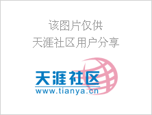 孕妇怀孕期间每个月应多吃什么好?